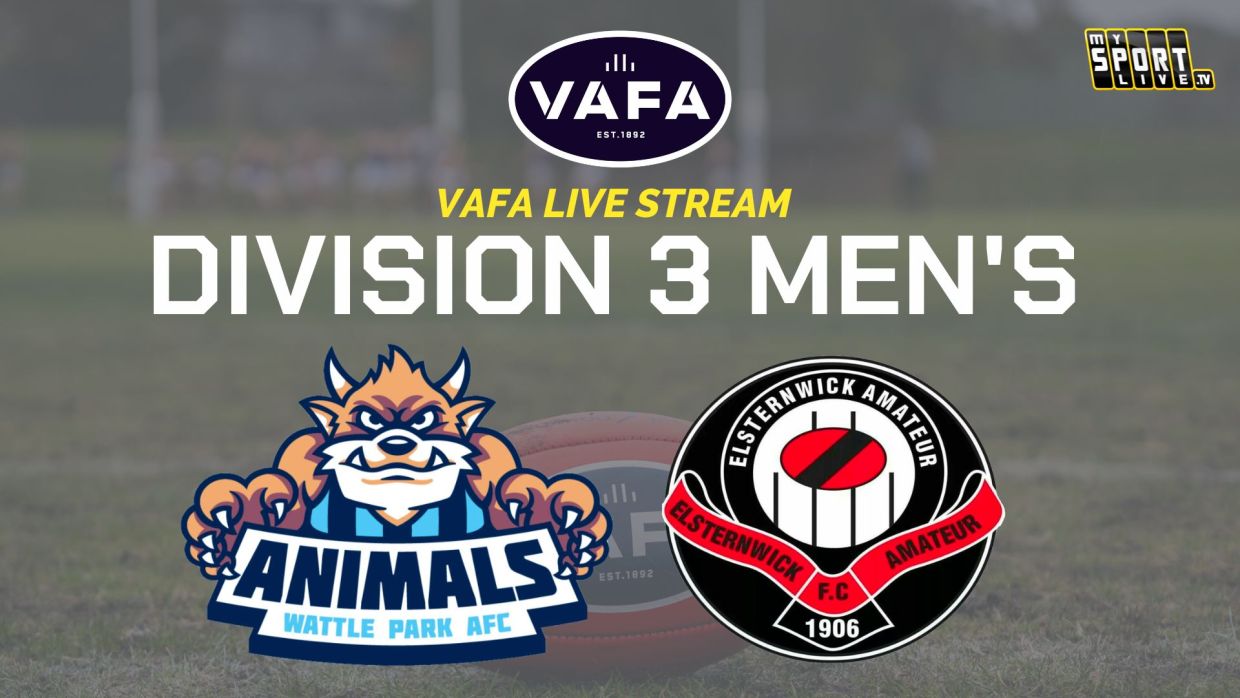 VAFA Live Stream 2023r1 VAFA vafa-live-stream-2023r1-vafa