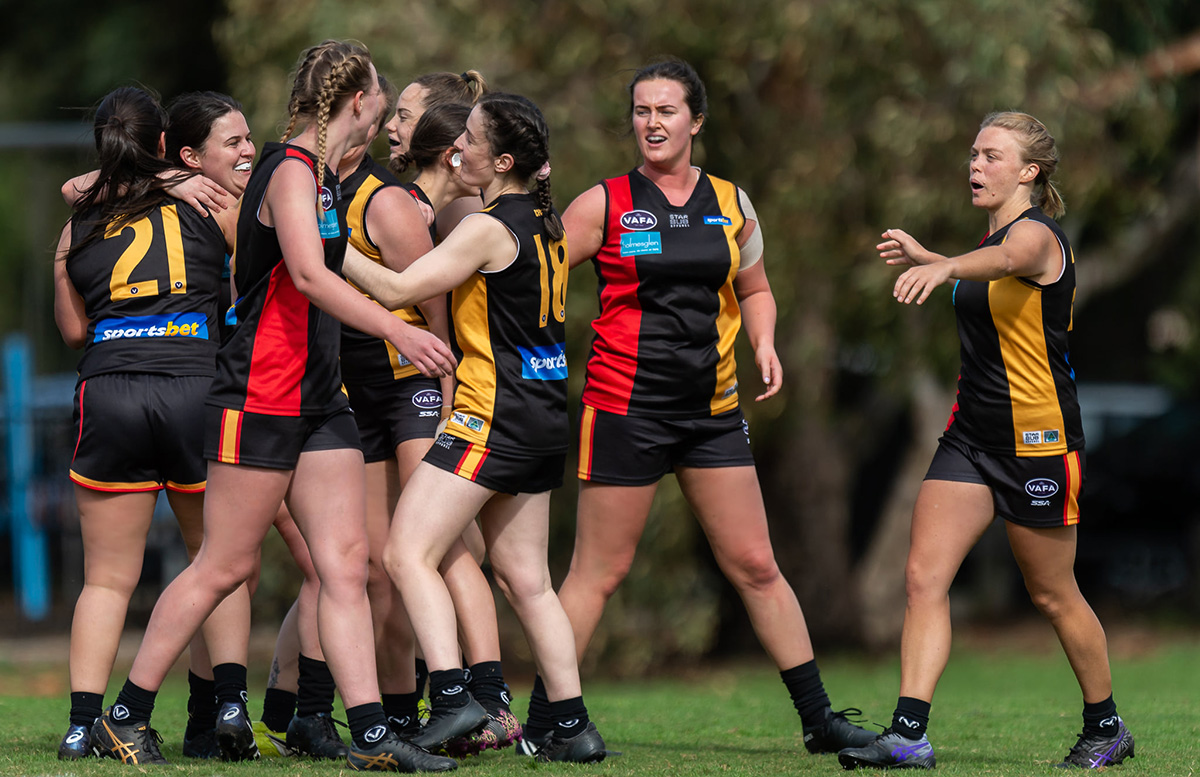 カンタベリー　ラグビー　ライオンズ　ジムショーツ　S カンタベリー ラグビー ライオンズ ジムショーツ S 海外M