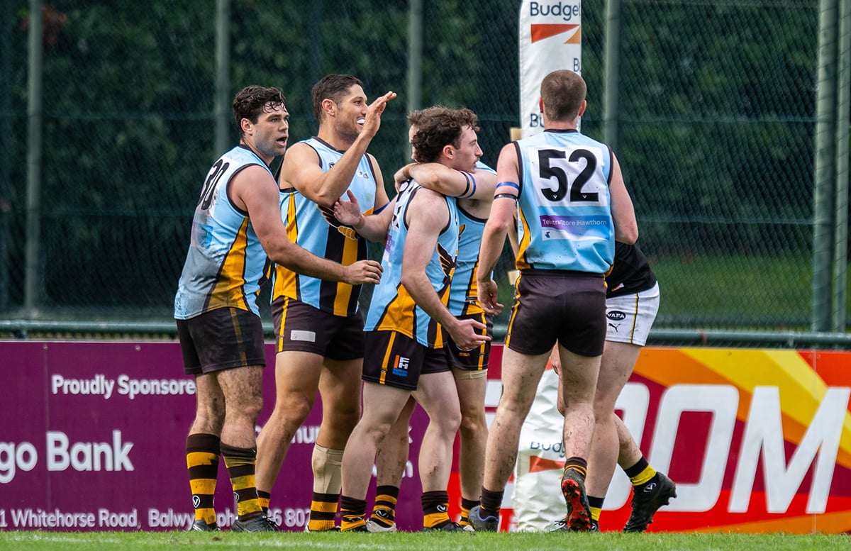 Hawthorn Amateur Football Club VAFA